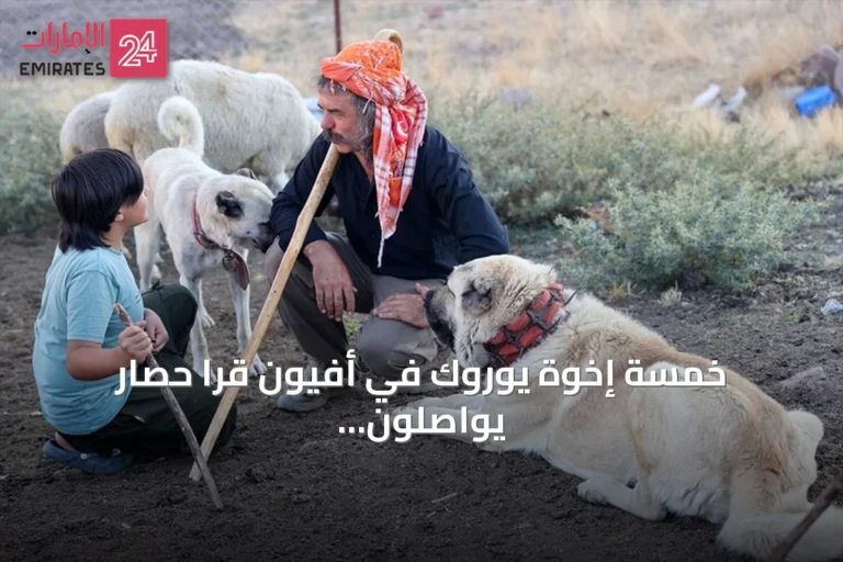 خمسة إخوة يوروك في أفيون قرا حصار يواصلون نمط حياة الرعي والتقاليد