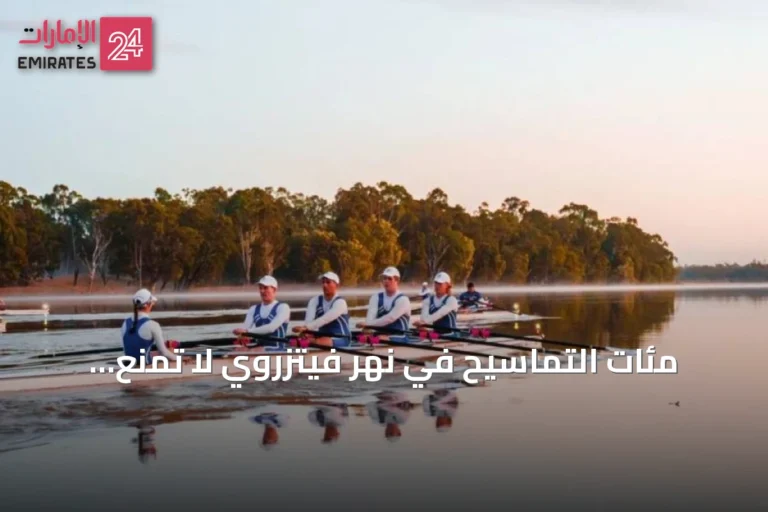 مئات التماسيح في نهر فيتزروي لا تمنع استضافته منافسات التجديف بأولمبياد بريزبين 2032