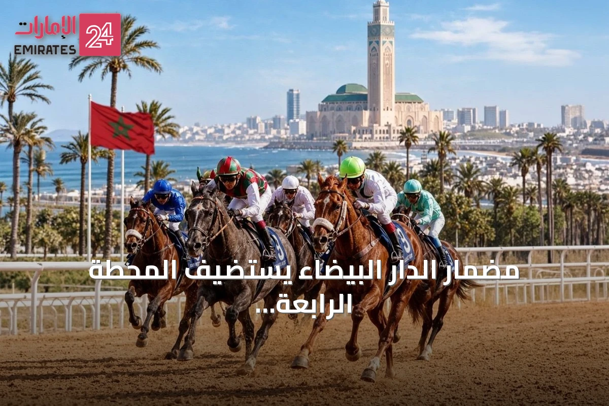 مضمار الدار البيضاء يستضيف المحطة الرابعة عشرة لكأس رئيس الدولة للخيول العربية الأصيلة