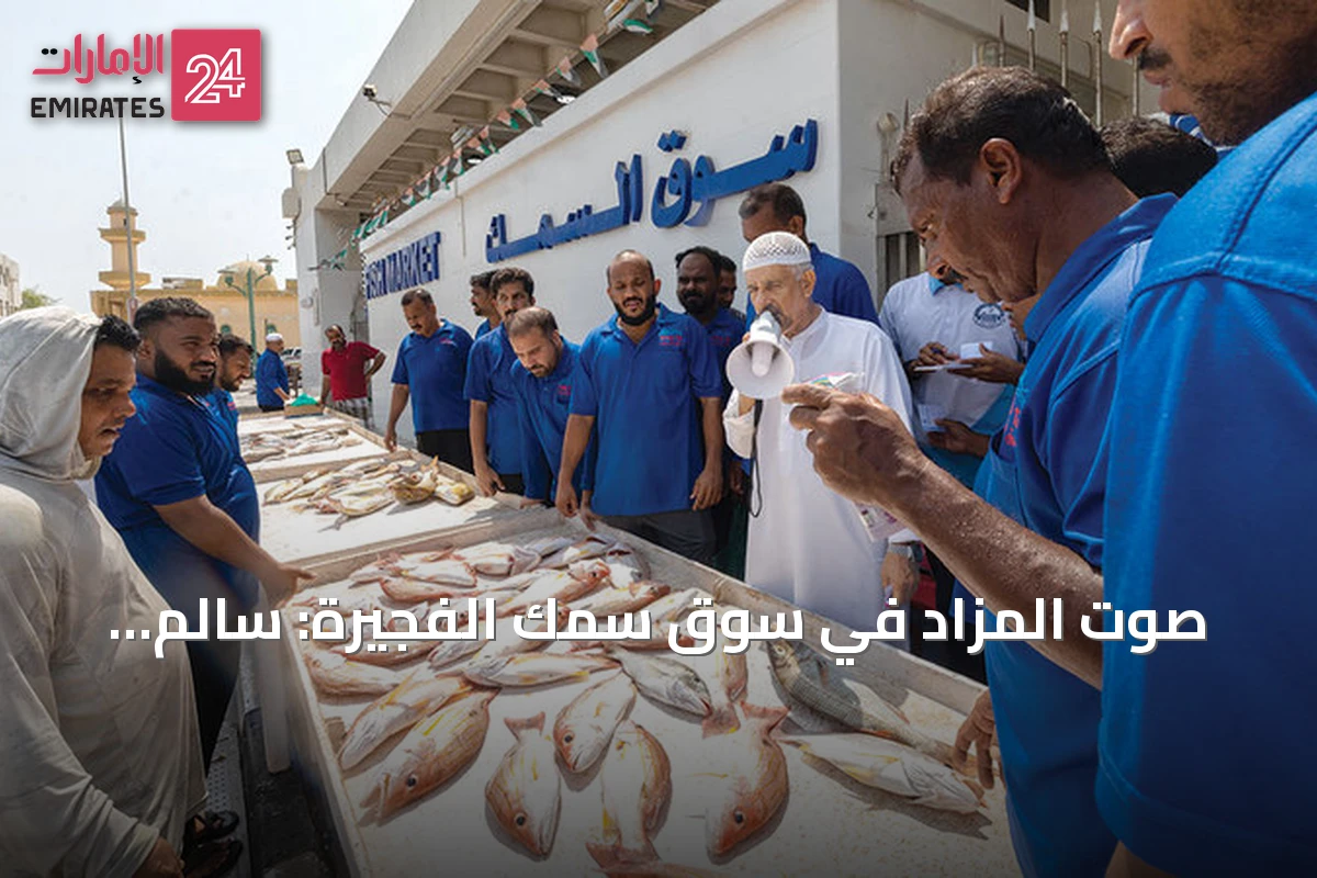 صوت المزاد في سوق سمك الفجيرة: سالم البلوشي يواصل تقليد العرقلة منذ 17 عاماً