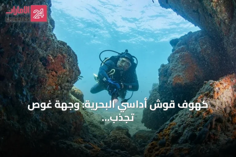 كهوف قوش أداسي البحرية: وجهة غوص تجذب هواة الاستكشاف