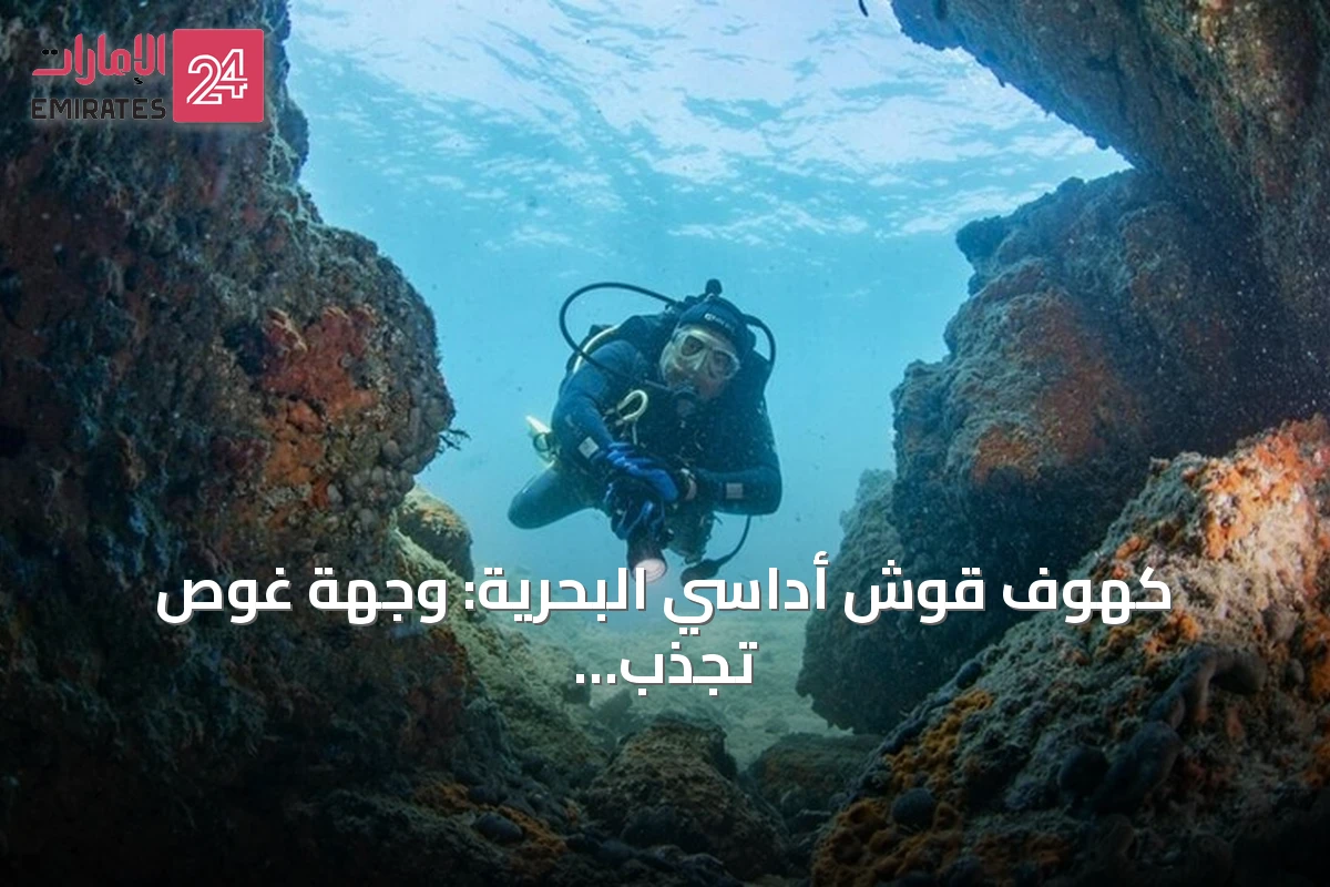 كهوف قوش أداسي البحرية: وجهة غوص تجذب هواة الاستكشاف