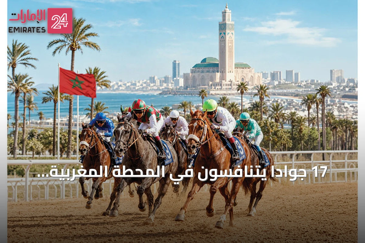 17 جوادًا يتنافسون في المحطة المغربية بكأس رئيس الدولة للخيول العربية الأصيلة