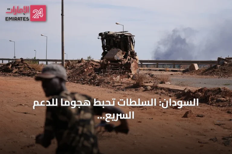 السودان: السلطات تحبط هجومًا للدعم السريع والحركة الشعبية/ شمال في النيل الأزرق