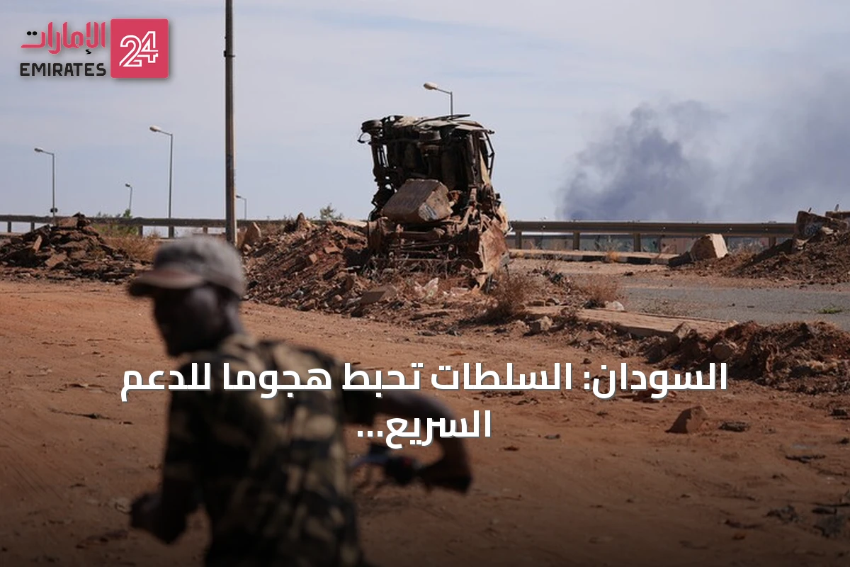 السودان: السلطات تحبط هجومًا للدعم السريع والحركة الشعبية/ شمال في النيل الأزرق