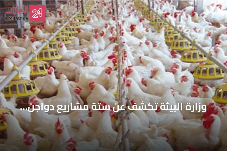 وزارة البيئة تكشف عن ستة مشاريع دواجن وعشرين فرصة استثمارية لتعزيز اقتصاد مكة