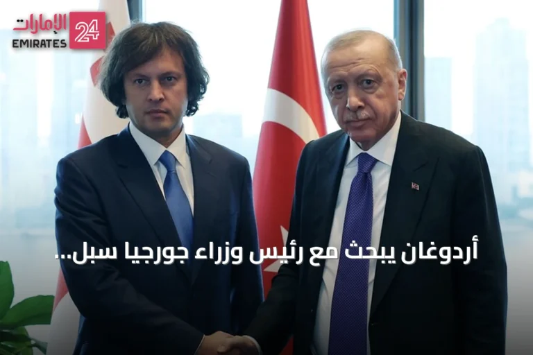 أردوغان يبحث مع رئيس وزراء جورجيا سبل تعزيز العلاقات الثنائية