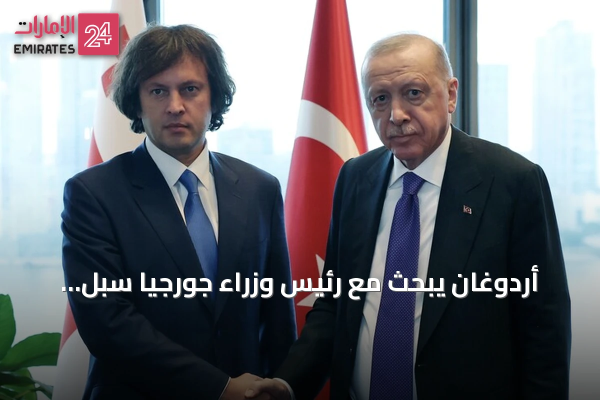 أردوغان يبحث مع رئيس وزراء جورجيا سبل تعزيز العلاقات الثنائية