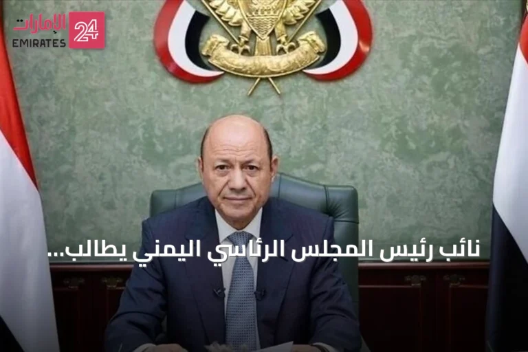 نائب رئيس المجلس الرئاسي اليمني يطالب المجتمع الدولي بحماية باب المندب