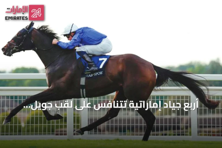 أربع جياد إماراتية تتنافس على لقب جويل ستيكس في نيوماركت