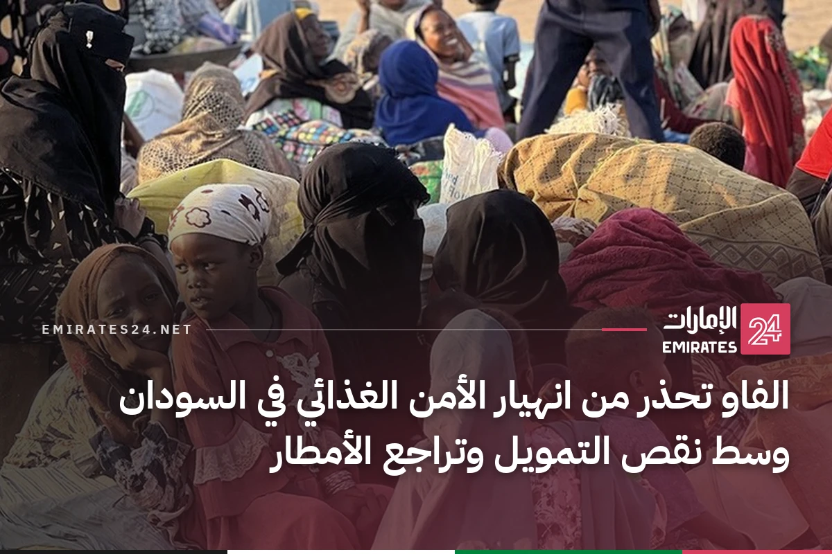 الفاو تحذر من انهيار الأمن الغذائي في السودان وسط نقص التمويل وتراجع الأمطار