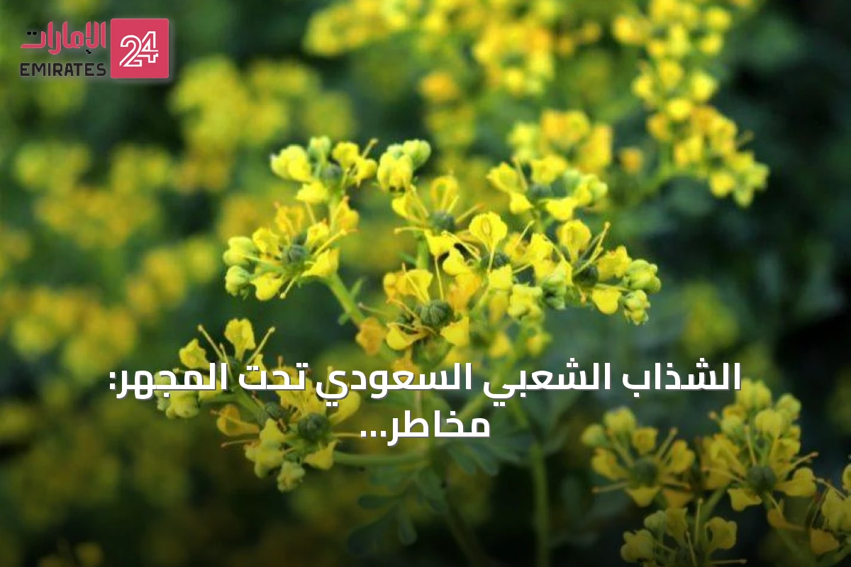 الشذاب الشعبي السعودي تحت المجهر: مخاطر صحية تحذر منها الدراسات والهيئات