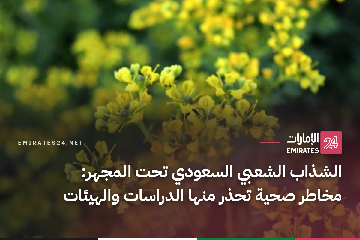 الشذاب الشعبي السعودي تحت المجهر: مخاطر صحية تحذر منها الدراسات والهيئات