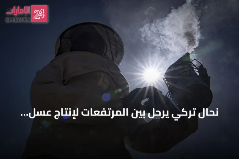 نحال تركي يرحل بين المرتفعات لإنتاج عسل عضوي
