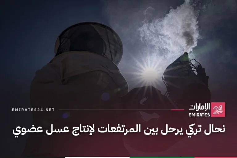 نحال تركي يرحل بين المرتفعات لإنتاج عسل عضوي