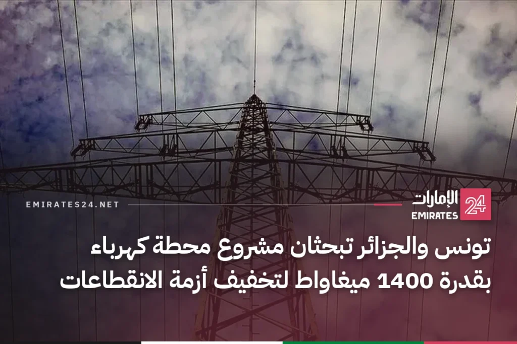 تونس والجزائر تبحثان مشروع محطة كهرباء بقدرة 1400 ميغاواط لتخفيف أزمة الانقطاعات