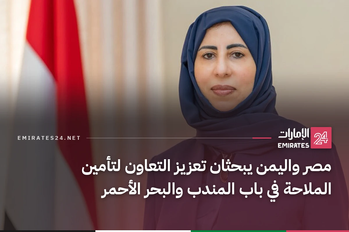 مصر واليمن يبحثان تعزيز التعاون لتأمين الملاحة في باب المندب والبحر الأحمر