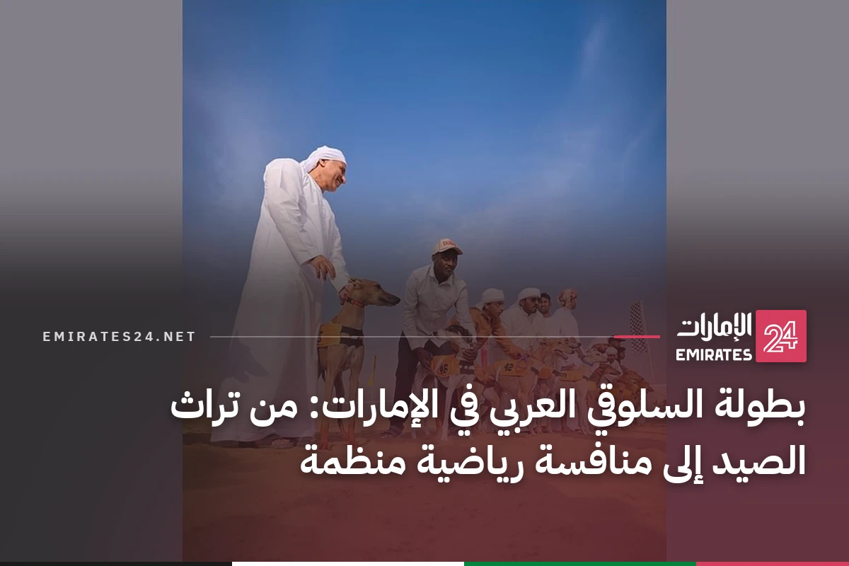 بطولة السلوقي العربي في الإمارات: من تراث الصيد إلى منافسة رياضية منظمة