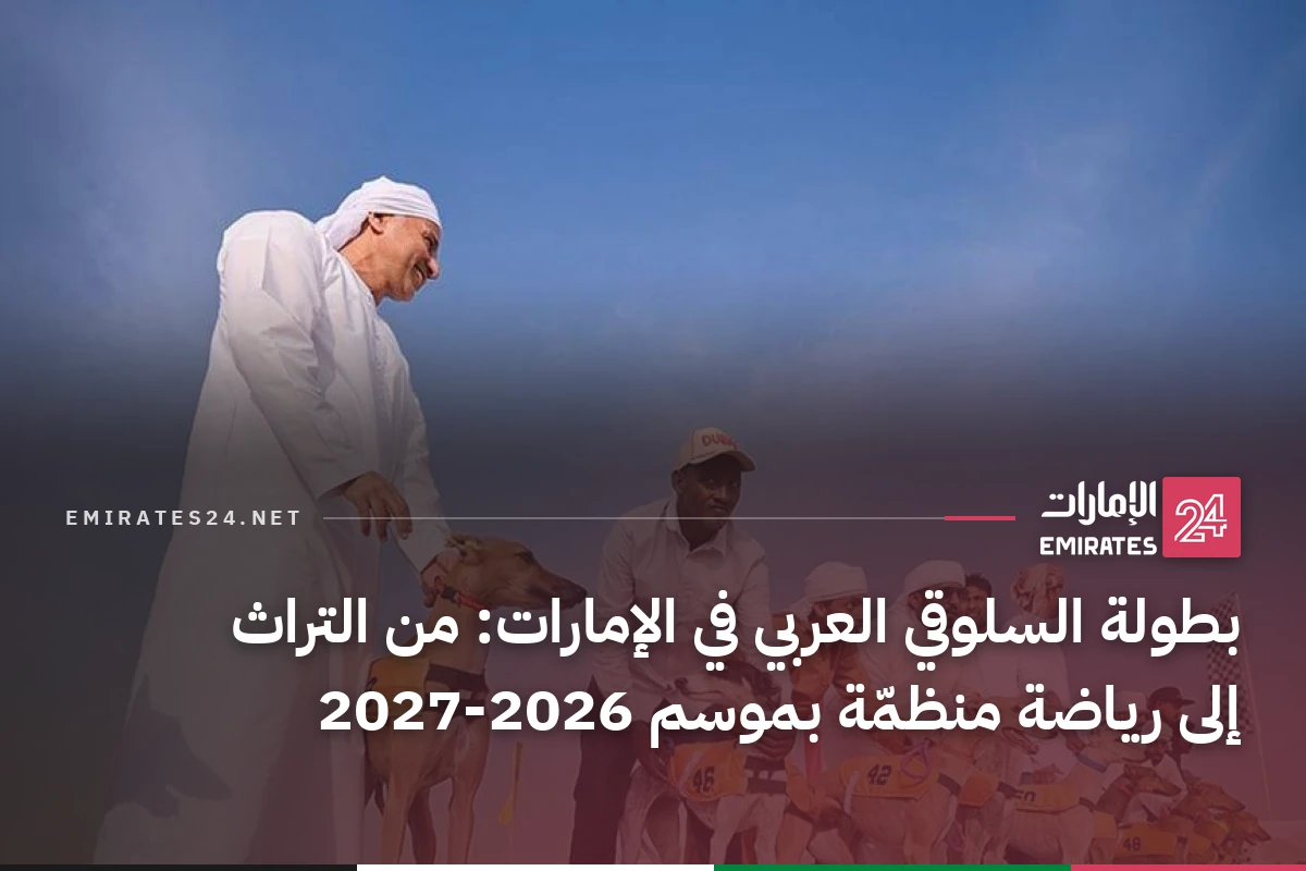 بطولة السلوقي العربي في الإمارات: من التراث إلى رياضة منظمّة بموسم 2026‑2027