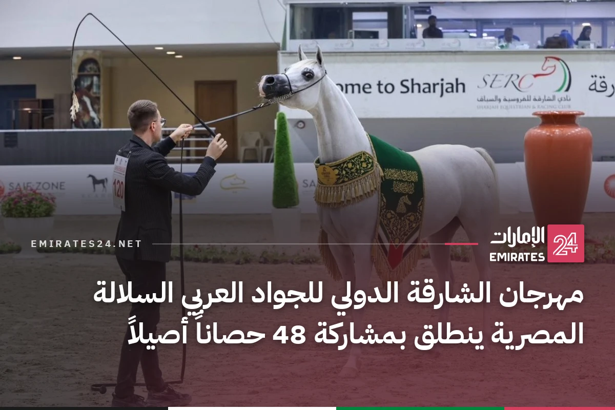 مهرجان الشارقة الدولي للجواد العربي السلالة المصرية ينطلق بمشاركة 48 حصاناً أصيلاً