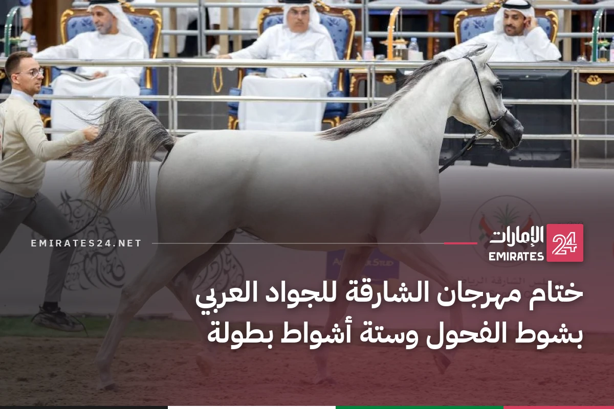 ختام مهرجان الشارقة للجواد العربي بشوط الفحول وستة أشواط بطولة