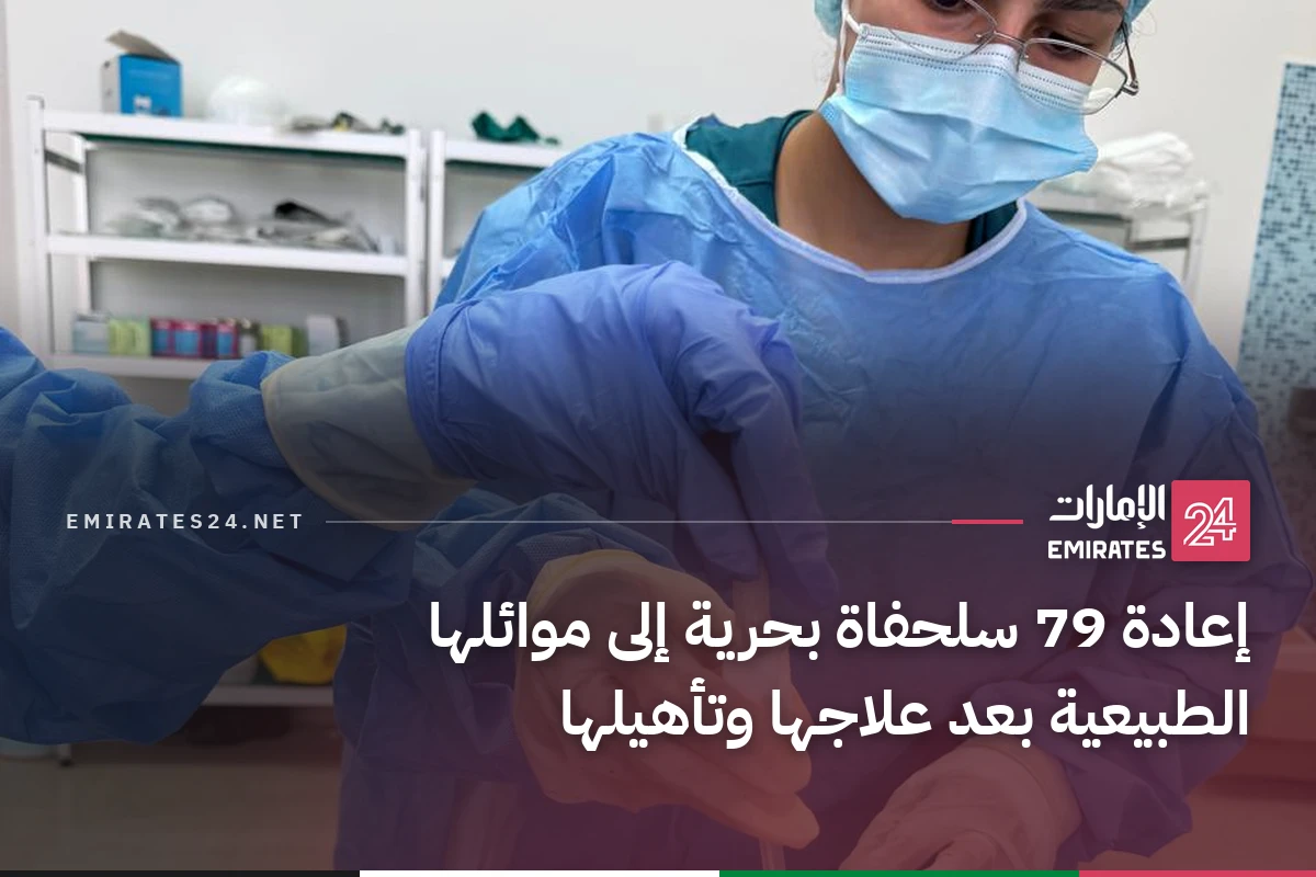 إعادة 79 سلحفاة بحرية إلى موائلها الطبيعية بعد علاجها وتأهيلها