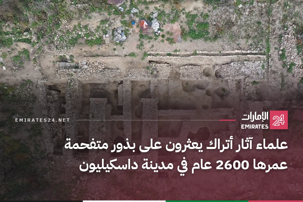 علماء آثار أتراك يعثرون على بذور متفحمة عمرها 2600 عام في مدينة داسكيليون