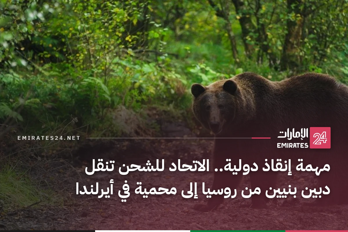 مهمة إنقاذ دولية.. الاتحاد للشحن تنقل دبين بنيين من روسيا إلى محمية في أيرلندا