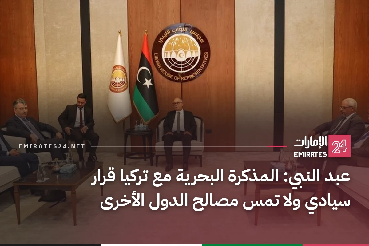عبد النبي: المذكرة البحرية مع تركيا قرار سيادي ولا تمس مصالح الدول الأخرى