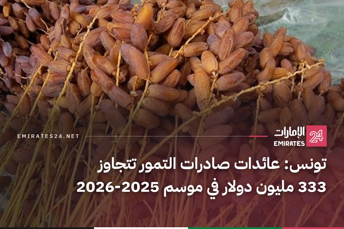 تونس: عائدات صادرات التمور تتجاوز 333 مليون دولار في موسم 2025-2026