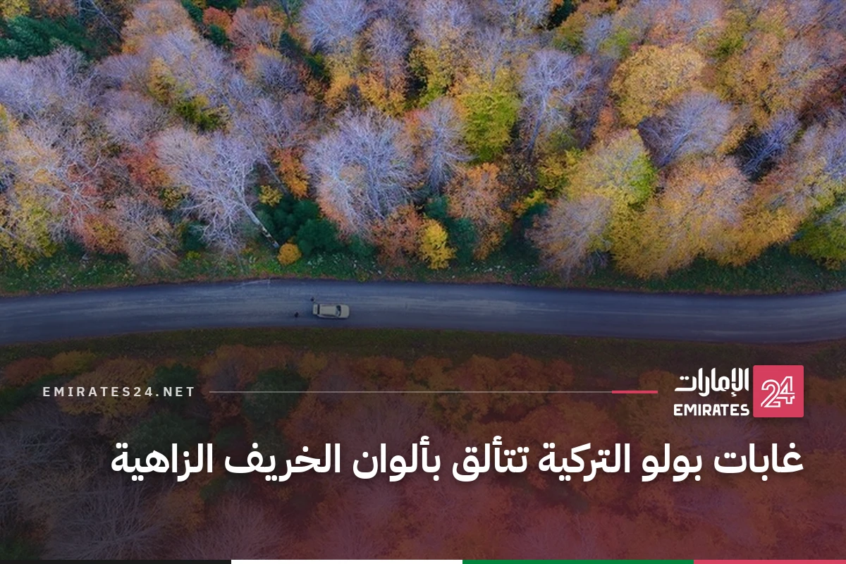 غابات بولو التركية تتألق بألوان الخريف الزاهية