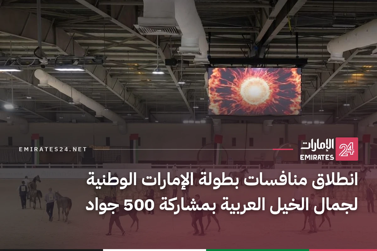 انطلاق منافسات بطولة الإمارات الوطنية لجمال الخيل العربية بمشاركة 500 جواد