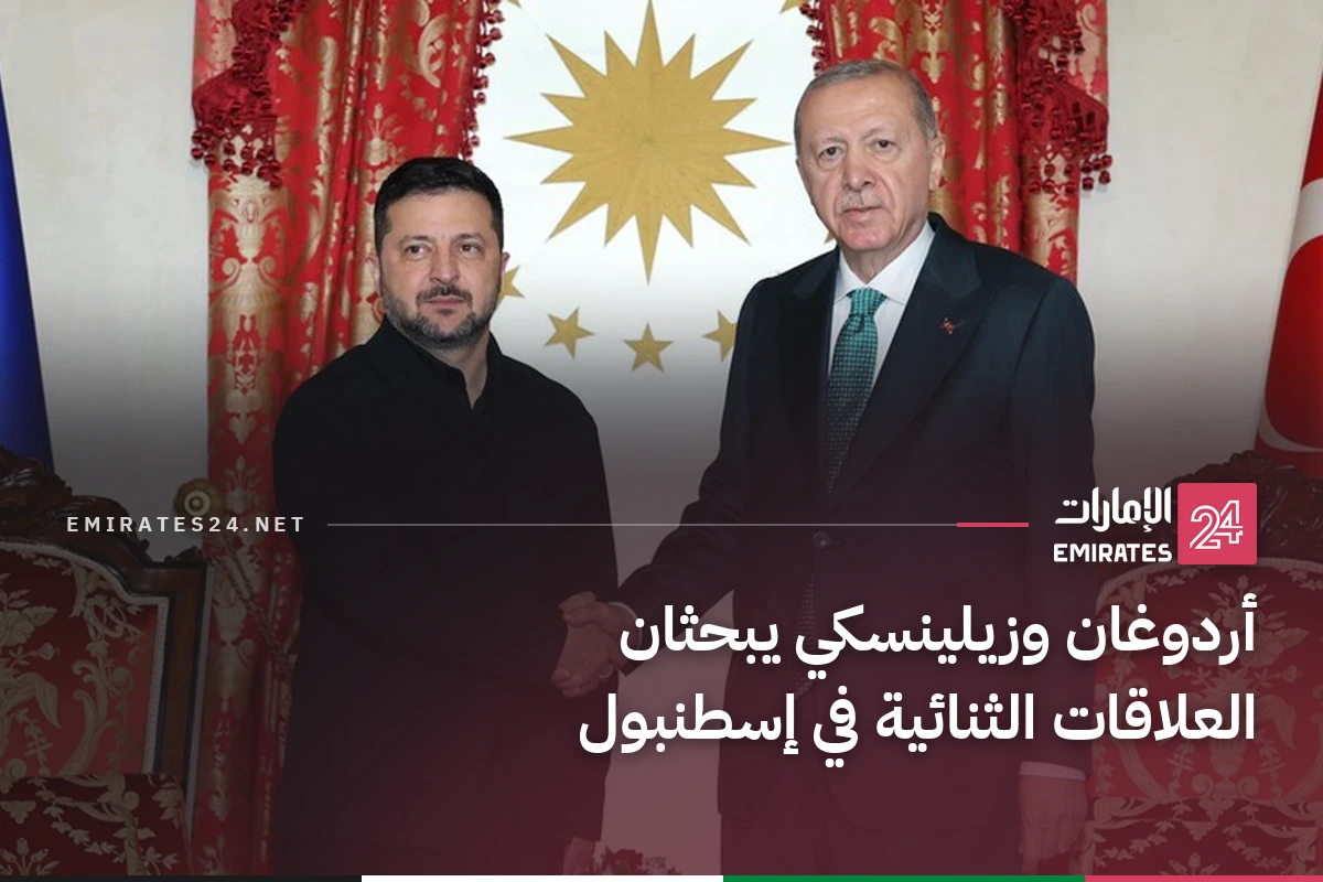 أردوغان وزيلينسكي يبحثان العلاقات الثنائية في إسطنبول